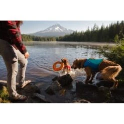 Ruffwear Hydro Plane™ Spielzeug M Orange -Ruffweal Verkaufe 006b8682fcf44b40a786d55bd2f1d1cf7f91a7a7 1364300 de DE b9c71d828876a94633bfda1055d03e137f81043ehPprdP