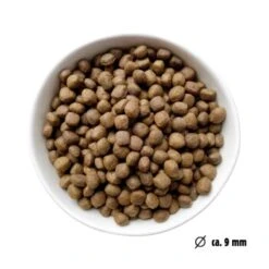 Eat Small EatSmall 10kg Mini Balance Trockenfutter -Ruffweal Verkaufe 022311929b7a668588c438a801ffcb397cc4f6a5 1450724 de DE ef1a1257b12edf1ce0a516e027bab83024c70daeCWb9u6