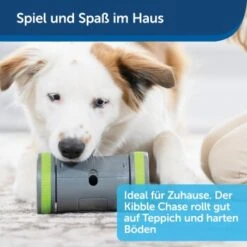 PetSafe Selbstbewegendes Belohnungsspielzeug Kibble Chase -Ruffweal Verkaufe 04ee16df08a1d0058720c3c24edae0b380a4f40b 1418726 de DE 98f77b1c14ebd5f386fc2520d6b8f5d2f621874avKV76L