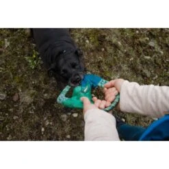 Ruffwear Pacific Ring™ Spielzeug Blau/ Türkis -Ruffweal Verkaufe 07365c8c03348a7be23ff66a31807695c41eac94 1444351 de DE bb2133baab48cb1d262b89fa47f175638eb3f7fcb9JpcH