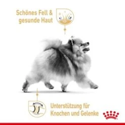 ROYAL CANIN BHN Pomeranian 1,5 Kg -Ruffweal Verkaufe 076a82e5533098ce72fdf62baa0bc25ecc22754f 1379878 3