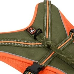 Dogs Creek Sicherheitsgeschirr Revolution S -Ruffweal Verkaufe 0a0dbbc5dd46a01b17e0b46d03593baade21f17d 1396873 2