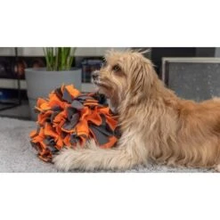 TrendPet Schnüffelball Orange -Ruffweal Verkaufe 0b3adcfec2519e0c6e929e0267a6c980a87babfc 1347789 de DE 4bd3ff6adcaeee7c376418b75c81fae19b8db63bwKh8XT