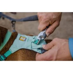 Ruffwear Double Track™ Koppler -Ruffweal Verkaufe 0c9b380322826e69b8d7026874e5a3bf29019fd2 1651544 de DE cd36202d4509250593f20b70187219a1da997b37dWFFqV