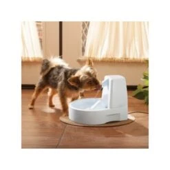 PetSafe Drinkwell Trinkbrunnen Original, 1,5 Liter -Ruffweal Verkaufe 0eafb4742dba6833f9a27c15a06f970e4cd3a735 e5e9d8abdbe4501019d4b3506e15c02aeff7b01c