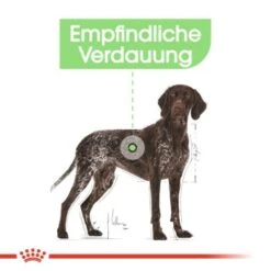 ROYAL CANIN Digestive Care Maxi 12 Kg -Ruffweal Verkaufe 14d24120573486ee92a7e47688cf6a96e822d722 1376252 de DE iajs 5