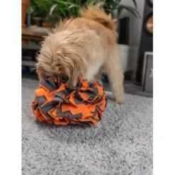 TrendPet Schnüffelball Orange -Ruffweal Verkaufe 150c7485ceb45f446eae94d286af034396b6b839 1347789 de DE 0d959a3cb36067968769c2d102a66fcc1f59a724hVebVb