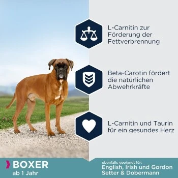 EUKANUBA Breed Specific Boxer 12 Kg 4 EUKANUBA Breed Specific Boxer 12 Kg – Bild 4