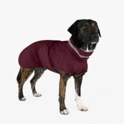 THE DOG IDEA Regenmantel Kayden Bordeaux XXXS -Ruffweal Verkaufe 15199a1306a3ace800e507518b9566b7fa68dccf 1681344 de DE 94a97a0c60e07ef5f6aadab2583dc6e8415511e0pXx3H5