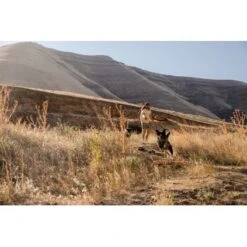 Ruffwear Hover Craft™ Spielzeug Orange 15 Ruffwear Hover Craft™ Spielzeug Orange -Ruffweal Verkaufe 15670c7f824cb67257971dca32974b68eba14a2f 1364297 de DE f53c4ca5615bcabb9ccbd712339b8f568f29402frPrk2m