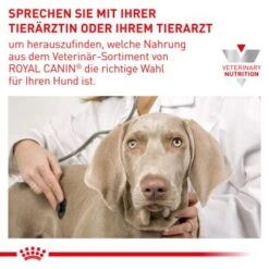 ROYAL CANIN Veterinary Dental 6 Kg -Ruffweal Verkaufe 16843fa032146fc66c5f1471f85011a53672ca20 1154390 de DE RC VET wb 6