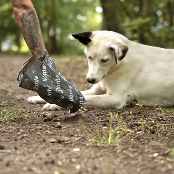 Lionto 900 Hundekotbeutel, Schwarz/grün 4 Lionto 900 Hundekotbeutel, Schwarz/grün – Bild 4