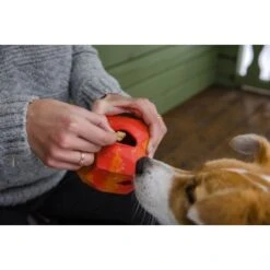 Ruffwear Gnawt-a-Rock™ Spielzeug Blau -Ruffweal Verkaufe 18a32f6fd206d1a1fd4df8bb6663cd33f769d9d5 1639879 de DE b243dd683d9144eaac7a8d1e460c634ef96ee8c8AtipD6