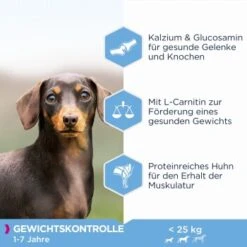 EUKANUBA Weight Control Medium Breed 15kg -Ruffweal Verkaufe 18e35120e2a9e94cb09d99910095de348378ef64 1013178 de DE asf