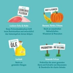 Edgard & Cooper Junior Mit Ente & Huhn 6x400g -Ruffweal Verkaufe 192e4d47955dc866ec2b0108c3c64927f9773eed 1343000 de DE EC Junior EnteHuhn 10