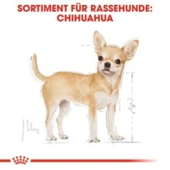 ROYAL CANIN Chihuahua Adult 12x85g -Ruffweal Verkaufe 197d45cb7575160e4d31cd104a5e5841d9299ef7 f715e0902cfbc2b880c867fd6b8875c02d62af99