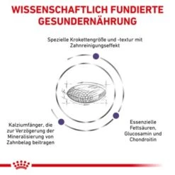 ROYAL CANIN Veterinary Dental 6 Kg -Ruffweal Verkaufe 19aec4add9f961a7e03c5ed6261d28e19682e7c4 1154390 de DE RC VET wb 3