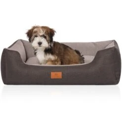 Knuffelwuff Hundebett Luke Aus Velours Mit Feinem Handwebcharakter Schwarz/ Grau M-L 7 Knuffelwuff Hundebett Luke Aus Velours Mit Feinem Handwebcharakter Schwarz/ Grau M-L -Ruffweal Verkaufe 1d206c1f4f4de741e5c33523dbf3ae5619400553 1411879 de DE 9a48efa0c81864708a3513cfa400775d99996c87qNcMXn