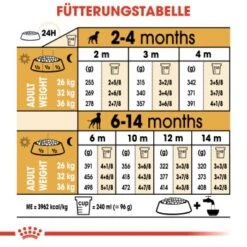 ROYAL CANIN Boxer Puppy 12 Kg -Ruffweal Verkaufe 1d7f5e3d2a00d175774adf8c01d791ebe8277dfc 6dff00cd99ccb72aecf4367e12827d5743855c22