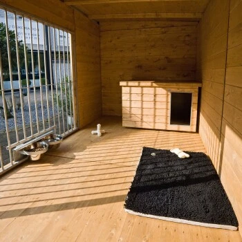 Sauerland Hundezwinger Balu Mit Hundehütte 3 M, 2 M, 2,15 M Ohne Bodenplatte 2 Sauerland Hundezwinger Balu Mit Hundehütte 3 M, 2 M, 2,15 M Ohne Bodenplatte – Bild 2