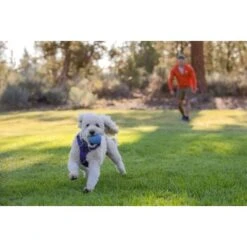 Ruffwear Huckama™ Spielzeug Violett -Ruffweal Verkaufe 1e25287ed59c30d76e9b799ca71232e607c6932b 1639706 de DE 4cde75bd4ef04e9f936b40473471e71f69a39443R9gkOp