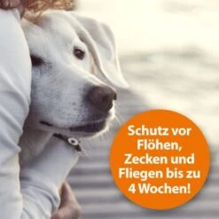 Ardap Flohspray Zur Anwendung Am Tier 250ml -Ruffweal Verkaufe 1e38b7747570a91b3fd009f3974005664ac2d015 1227735 de DE 3ce23e78efb3686272f02c09e5ca6ade74ba7902gmBWUo