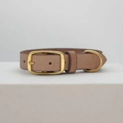 THE DOG IDEA Leder Halsband Beige XL -Ruffweal Verkaufe 1ec48d2972c0e1dfe6ea7297404e371c480b6f93 1674216 de DE e62f018514b26e403cf6836ac6a855f79abfd60fyH1vTH