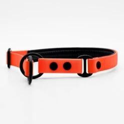 THE DOG IDEA Zugstopp Halsband Orange XS -Ruffweal Verkaufe 1ed8fefef63b371ec4cda43f60e91d6f1ca94f50 1499712 de DE a31f6753e5b48355b1f0f63cd519e5adcd14cfd067hyQ3