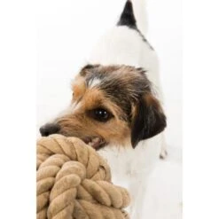 Trixie BE NORDIC Tau-Ball 18cm -Ruffweal Verkaufe 1f7fb2f6aa41b9eda5c2948d6d177e65789848a0 1317741 de DE Trixie be nordic Tau Ball wb 2