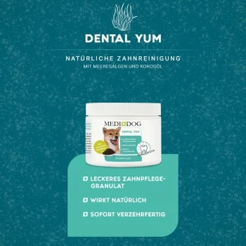 MediDog Dental Yum 4 MediDog Dental Yum – Bild 4