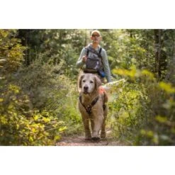 Ruffwear Brush Guard™ Geschirrzubehör S 21 Ruffwear Brush Guard™ Geschirrzubehör S -Ruffweal Verkaufe 2275adfad51de073b304c2c73d17011d318ed35d 1651427 de DE 17729fb29f96cf519995f150dd5871cde0aa97d2N0gP2P