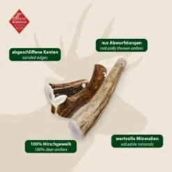 ChronoBalance Geweih Ganz (XL) 2er Paket -Ruffweal Verkaufe 227b4896b023f1721ec9ccfcda37ed549cced470 1418693 de DE 97f6faa2e066481717c6e9970bb381a3824303b8vU2fW5