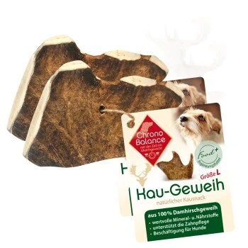 ChronoBalance Kaugeweih Damhirsch (L) 2er Paket 1 ChronoBalance Kaugeweih Damhirsch (L) 2er Paket
