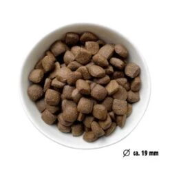 Eat Small EatSmall 2kg Maxi Active Trockenfutter -Ruffweal Verkaufe 22e161dfc285ae2a6a1e5a0dc3dd026c918ef066 1450723 de DE 7be7b6abbd10a501ad4eda906b0ca458956766a1CXCEHe