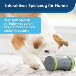 PetSafe Selbstbewegendes Belohnungsspielzeug Kibble Chase -Ruffweal Verkaufe 232030f86f814de36b46e922b9019b2a80aa0a4a 1418726 de DE cabfebb8ef64f9f8a7009d6c5080cb046558ff00b0jRo2