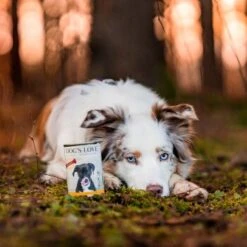 DOG'S LOVE Adult Fleisch Pur B.A.R.F. 6x400g Huhn -Ruffweal Verkaufe 23da8a3e43fad305a04436df0548025ecd8d9384 1274546 1