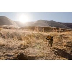 Ruffwear Hover Craft™ Spielzeug Orange 14 Ruffwear Hover Craft™ Spielzeug Orange -Ruffweal Verkaufe 23f3ce0fb188e4f5a253007adc90481d6747961b 1364297 de DE e44fe3627eb338195cfdd7c589598a8edb05def2xpzXS1