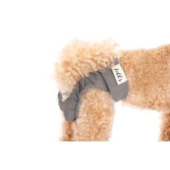 Lills Läufigkeitshöschen "Lou" Pink Berry Grau XXL -Ruffweal Verkaufe 2510182477e0473189522ab4c4eec9318a5ab186 1662393 de DE e81483ca839e45ba2b9fb54d71ddd02dbfa55b06LbZw0y