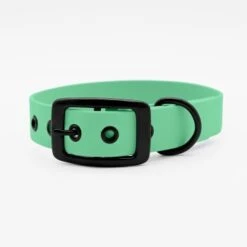 THE DOG IDEA Biothane Halsband Mint Schwarz XS -Ruffweal Verkaufe 25cf8844167d35dc6a0ede8247bd0c1c48926912 1679203 de DE 5dfc334cca991c733ec62b12b4247e7b946f4cb7XO7Lzj