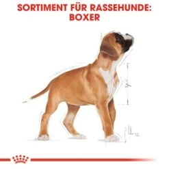 ROYAL CANIN Boxer Puppy 12 Kg -Ruffweal Verkaufe 26b8108fe7f848d5514f54a6ebebe445e9749634 bc544cb1464daff2fcccab10e7c9f1ae73a4f2d1