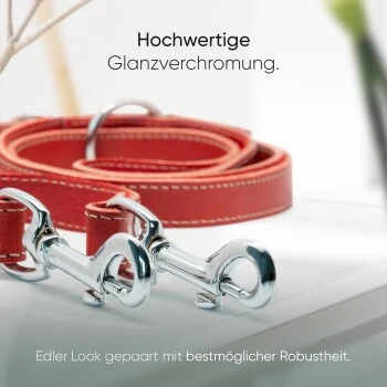 Freudentier Hundeleine Aus Leder, Verstellbar Rot 2 Cm 3 Freudentier Hundeleine Aus Leder, Verstellbar Rot 2 Cm – Bild 3