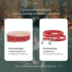 Freudentier Hundeleine Aus Leder, Verstellbar Rot 2 Cm 9 Freudentier Hundeleine Aus Leder, Verstellbar Rot 2 Cm -Ruffweal Verkaufe 2962c2e598bc6cbfe94ea7ab0bc9c46ed7dc929e 1655244 de DE f81a0a5aa37f11b9f30726c77188c6f92aabb009nCQB91