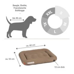 Doctor Bark Lounge-Kissen Sandbraun S -Ruffweal Verkaufe 2963b4baccec4fc858c8f95f66d3e8f46911bb05 1399026 de DE 90717154e6dd58a4c9c25001e3740a44ceb4b2abm9hHjz