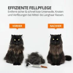 Schlitzohr Unterfellbürste Cookie -Ruffweal Verkaufe 2a765f5268f2d051ae509fa49997c71529d6de97 1484682 de DE 5245ecb7a52e92e3650aeb70f515b710f480be74aFl4bu
