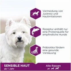 EUKANUBA Daily Care Sensible Haut 12 Kg 6 EUKANUBA Daily Care Sensible Haut 12 Kg -Ruffweal Verkaufe 2ac8b12e9bbcd9f97aaad7e0b275ab1a12aadd10 9080130ab11389ec72354c5ef3b9e725118015a6