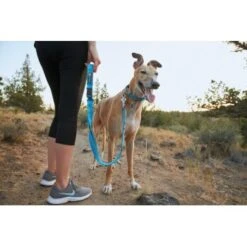 Ruffwear Web Reaction™ Halsband Blau S -Ruffweal Verkaufe 2cdfdccf008759cf17f48f239379359c334e9357 1651469 de DE 0072b4ff1341ecdf919c350193ff39629ad782b0mKg81g
