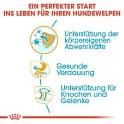 ROYAL CANIN Bulldog Puppy 12 Kg -Ruffweal Verkaufe 2d0f51918b73b4a1a37a003d645905e2550cb19f 14b3675440275b362b52491ec4b55f2269291145