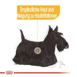 ROYAL CANIN Dermacomfort Mini 8 Kg -Ruffweal Verkaufe 2e3e3c6b2d06e764aae9020ad09e3e46f3316b00 5316148670735b865ac3b74806739474a10e760a