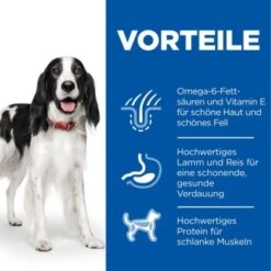 Hill's Science Plan Medium Adult 1-6 Lamm & Reis 18 Kg -Ruffweal Verkaufe 2eb5e8e2e65a629fb02a740e6a3d088b7c2bb774 52742025865 4
