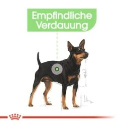 ROYAL CANIN Digestive Care Mini 8 Kg -Ruffweal Verkaufe 2f44f806b768c0d4181b42955c2678d2b1c910f5 6f99c8b5c64093b4e59b1ecd7ada5ca40e016ce2